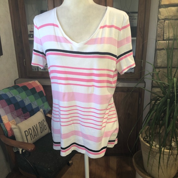 TALBOTS SIZE LARGE. THE TALBOTS TEE PINK AND WHITE SHORT SLEEVE V/NECK TEE - Picture 1 of 3